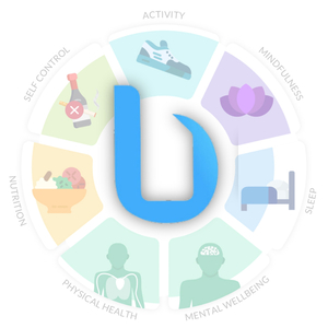 bEHRconnect