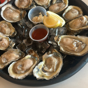 Daisy balcony lounge & oyster bar