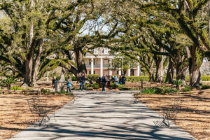 Oak Alley Plantation & Airboat Swamp Combo Tour