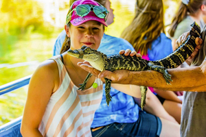 Bayou Swamp Tour and Oak Alley Plantation Tour