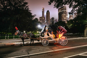 Central Park, Rockefeller & Times Kutschenfahrt (4 Erwachsene)
