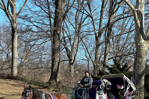 Scopri Central Park in carrozza trainata da cavalli