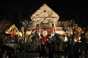 Da Manhattan: tour delle luci e dello skyline di Dyker Heights