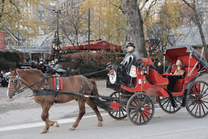 New York City: Central Park Pferdekutsche 55-min Fahrt