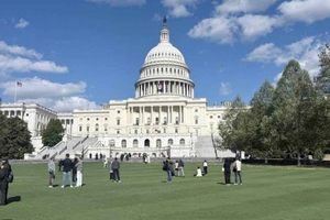 New York City: Washington DC Day Trip & City Tour