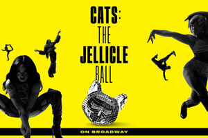 NYC: CATS: The Jellicle Ball on Broadway