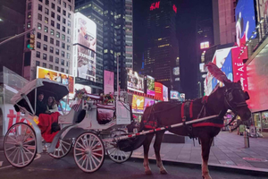 NYC: Åktur med hästdragen vagn i Central Park Christmas Lights
