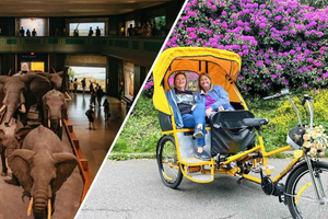 NYC: Fahrradtaxi-Tour durch den Central Park und Zugang zum Naturkundemuseum