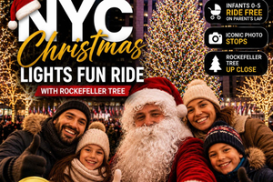 giro in carrozza con Babbo Natale adatto alle famiglie e Albero di Natale