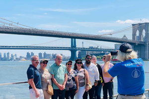 NYC: halfdaagse luxe bustour langs de belangrijkste hoogtepunten