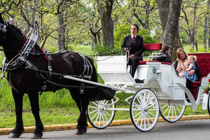 Privérit met paardenkoets door Central Park in New York met gids