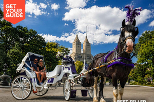 NYC: Romantisk häst och vagn i Central Park