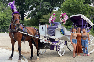 NYC VIP Christmas Central Park Horse Carriage Ride