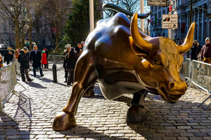 NYC: Wall Street Finance & Power, 9/11 Memorial en de Bull