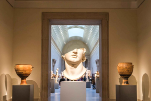 Skip-the-line Metropolitan Museum of Art-tour met transfers
