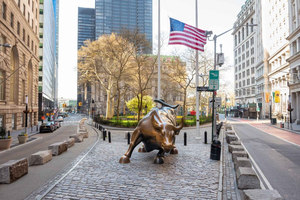 Paseo Privado por Wall Street y el Distrito Financiero