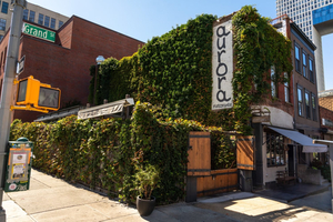 Aurora Brooklyn