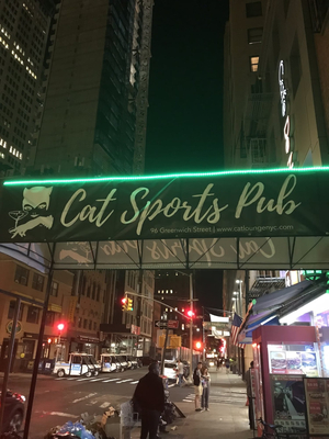 Cat Lounge NYC