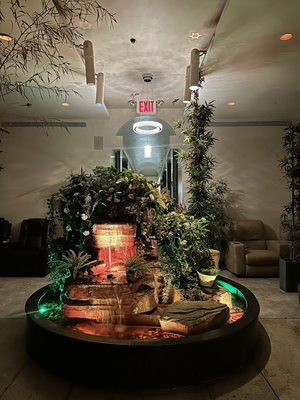 Eden Med Spa