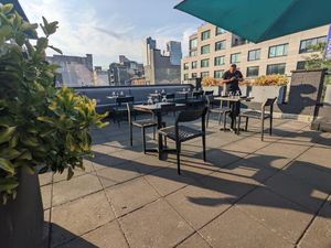 Elite Williamsburg