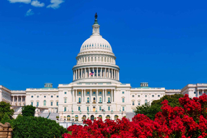 Fra NYC: Guidet heldagstur til Washington og Philadelphia