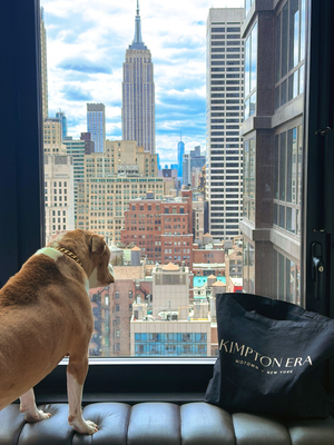 Kimpton Era Midtown New York