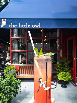 Little Owl