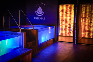 Sui Spa: Therapeutic Massage, Sauna & Cold Plunge