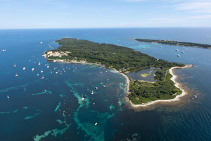 Från Nice: Transfer med färja till Île Sainte-Marguerite