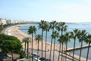 From Nice: Cannes and Antibes Private Half-Day Tour