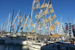 Marina degli Aregai: Sailing tour in the Cetacean Sanctuary