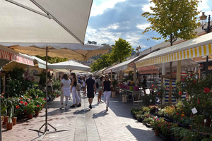 Foodtour door het oude Nice