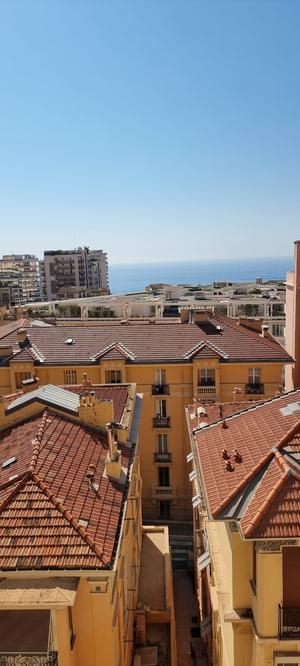 Apartments Monaco