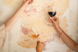 Frecnh Wine Tasting in City Center of Nice