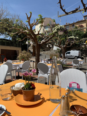 Restaurant Le Safranier
