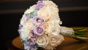 Amaris Diamond Events
