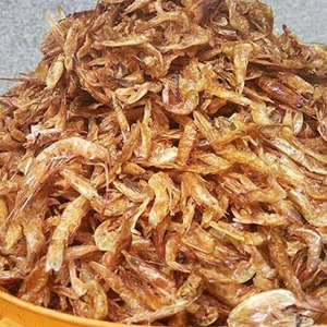Golden O-sea Food LTD