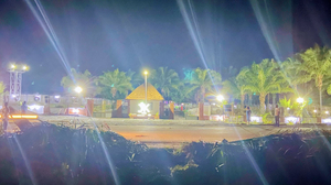 JK Palms & Garden