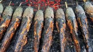 Justgrillss