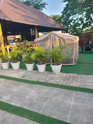Lifestyle Lounge