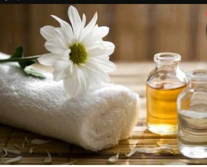 Lily wellness spa
