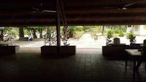 New German Camp