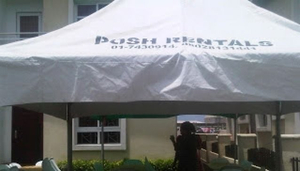 Posh Party Planners