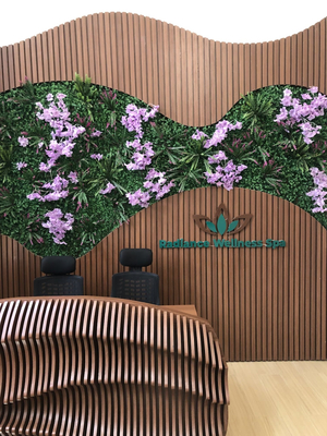 Radiance Wellness Spa, Abuja
