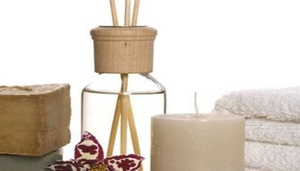 REEDS & SCENTS