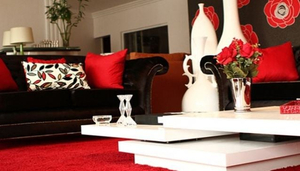 Selective Interior and Accessories
