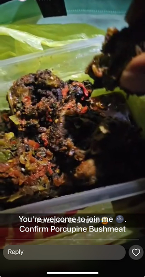 The bush meat pot (bush meat in akure )