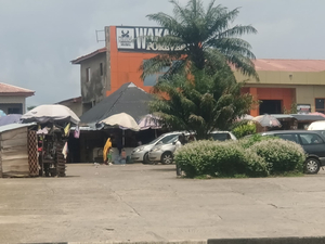 Wakanda country foods