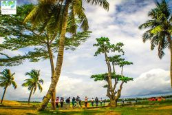 Tours and Trips