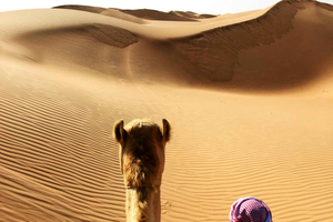 2 dagar och 1 natt privat Wahiba Sands-öknen med Wadi